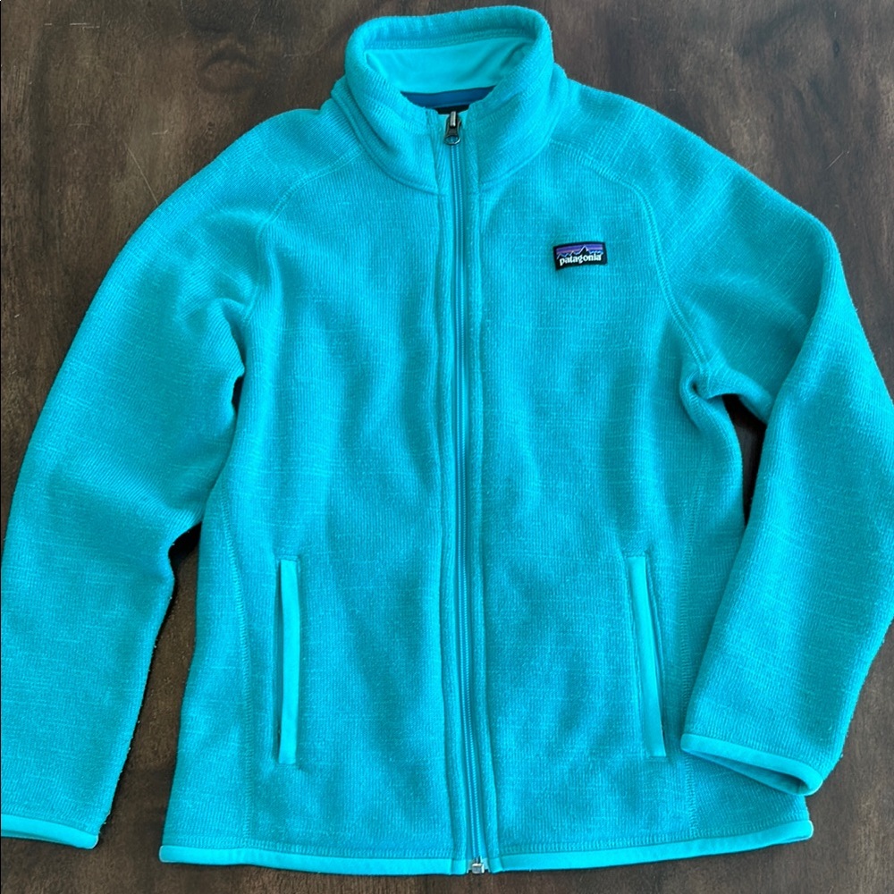 Patagonia Aquamarine Better Sweater Jacket, size M (10)
